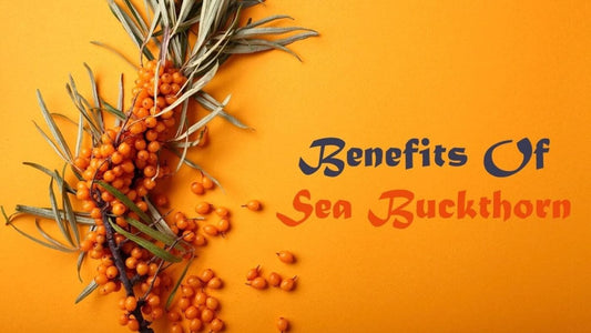 Benefits Of Sea Buckthorn